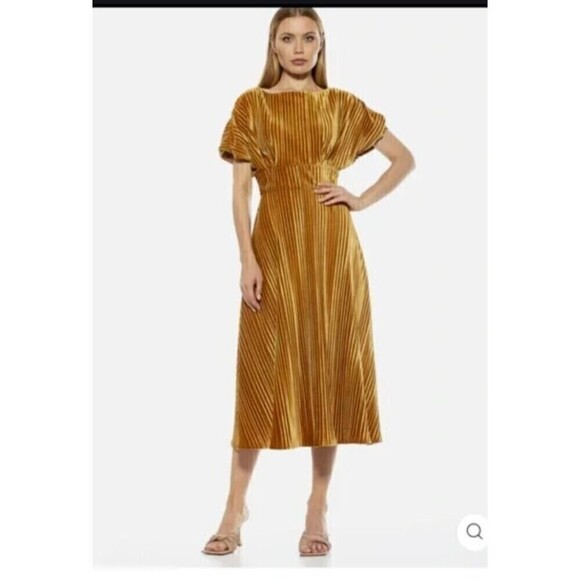 Alexia Admor Women's Boatneck Veronica Pleated Velvet Midi Dress Gold Medium - Picture 2 of 10